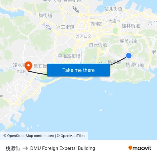 桃源街 to DMU Foreign Experts' Building map