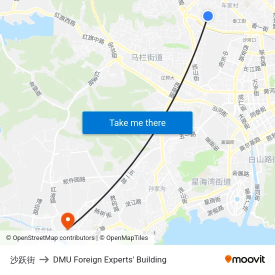 沙跃街 to DMU Foreign Experts' Building map