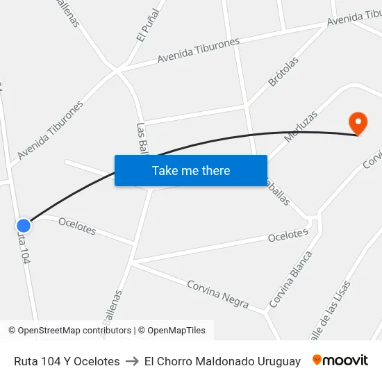 Ruta 104 Y Ocelotes to El Chorro Maldonado Uruguay map