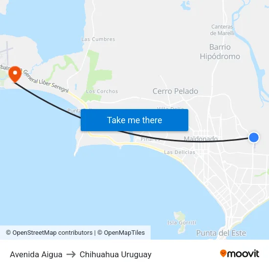 Avenida Aigua to Chihuahua Uruguay map