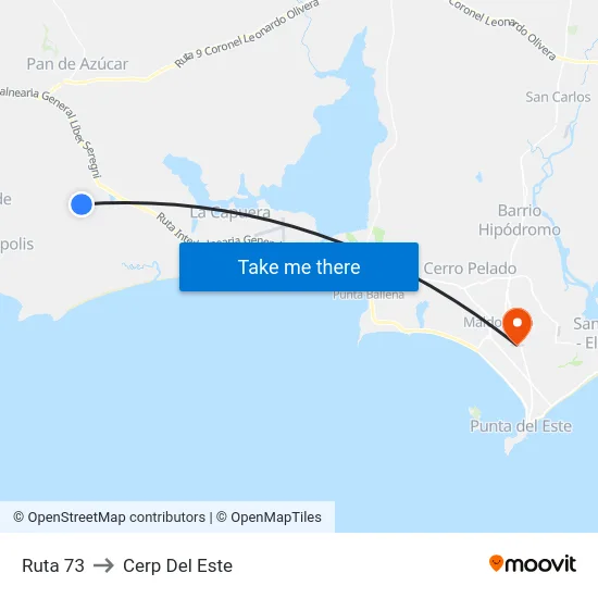 Ruta 73 to Cerp Del Este map