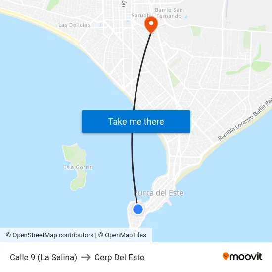 Calle 9 (La Salina) to Cerp Del Este map