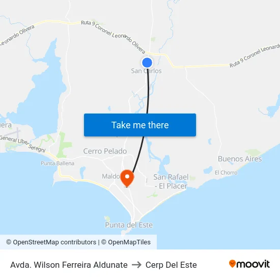 Avda. Wilson Ferreira Aldunate to Cerp Del Este map