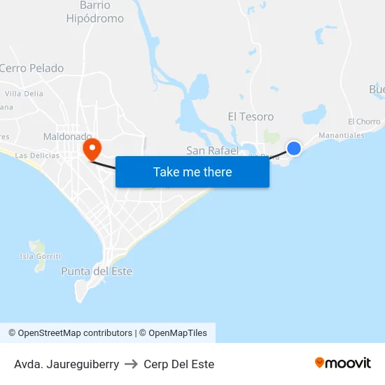 Avda. Jaureguiberry to Cerp Del Este map