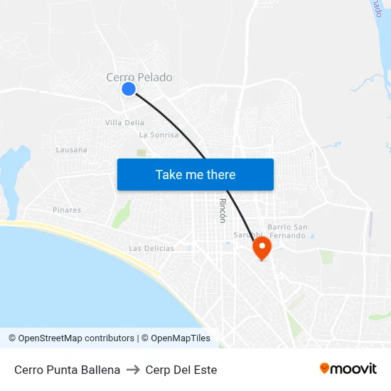 Cerro Punta Ballena to Cerp Del Este map