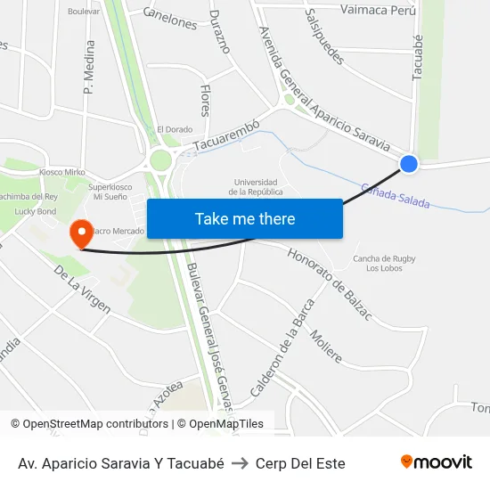 Av. Aparicio Saravia Y Tacuabé to Cerp Del Este map