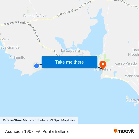 Asuncion 1907 to Punta Ballena map