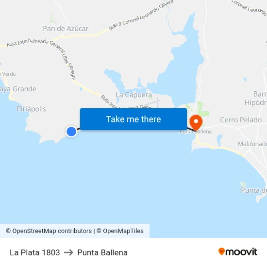 La Plata 1803 to Punta Ballena map