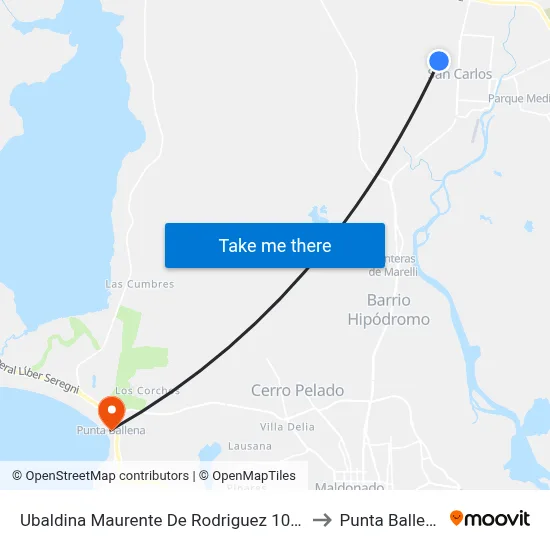 Ubaldina Maurente De Rodriguez 1049 to Punta Ballena map