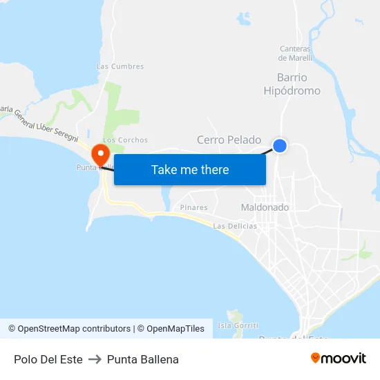 Polo Del Este to Punta Ballena map