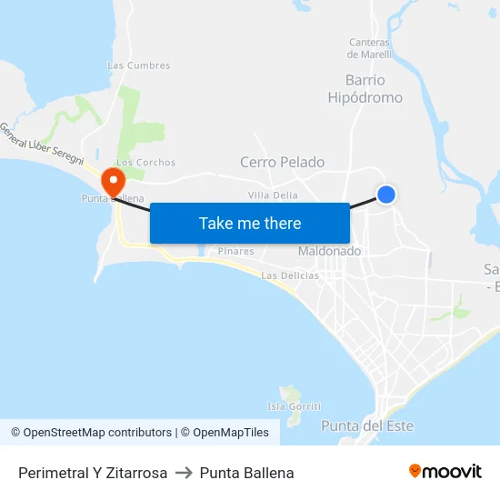 Perimetral Y Zitarrosa to Punta Ballena map