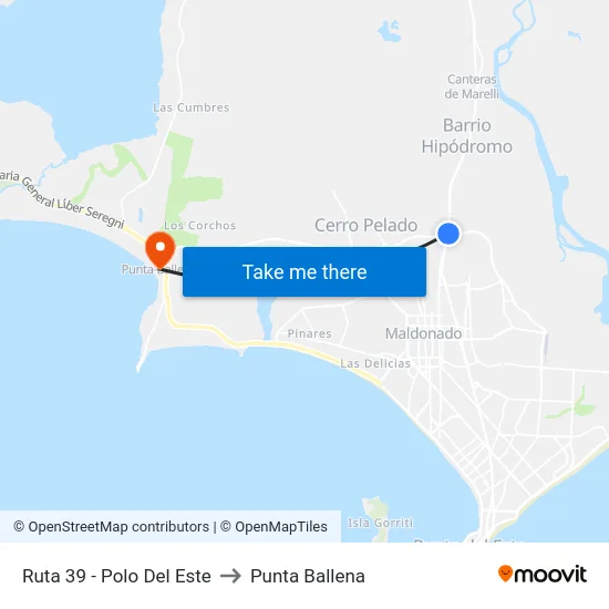 Ruta 39 - Polo Del Este to Punta Ballena map