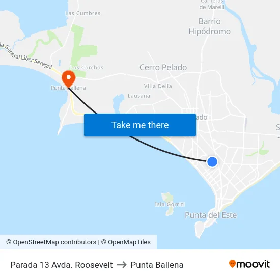 Parada 13 Avda. Roosevelt to Punta Ballena map