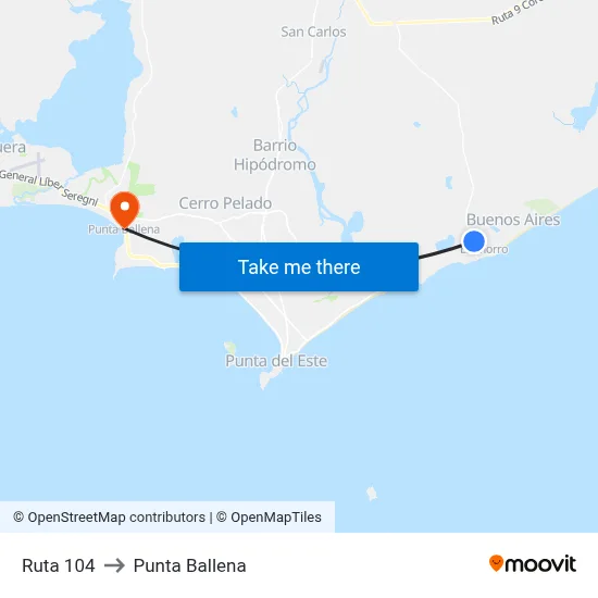 Ruta 104 to Punta Ballena map