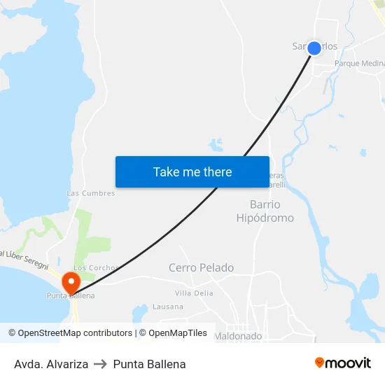 Avda. Alvariza to Punta Ballena map