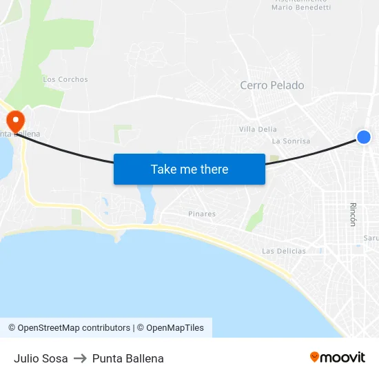 Julio Sosa to Punta Ballena map