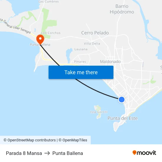 Parada 8 Mansa to Punta Ballena map