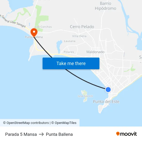 Parada 5 Mansa to Punta Ballena map