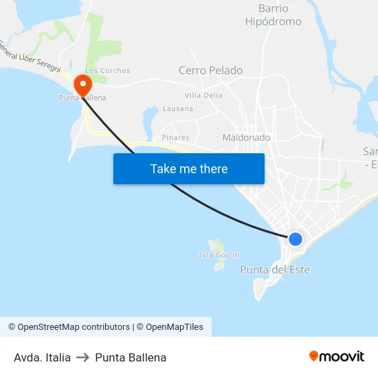 Avda. Italia to Punta Ballena map