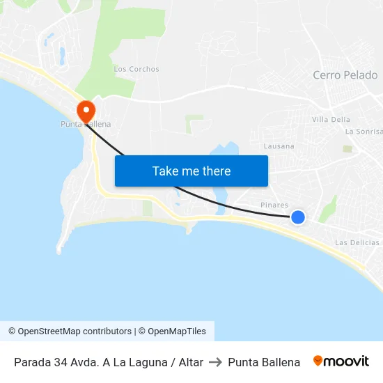 Parada 34 Avda. A La Laguna / Altar to Punta Ballena map