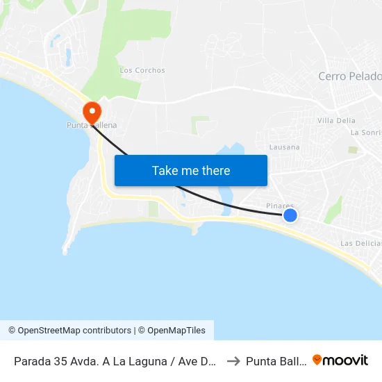 Parada 35 Avda. A La Laguna / Ave Del Paraíso to Punta Ballena map