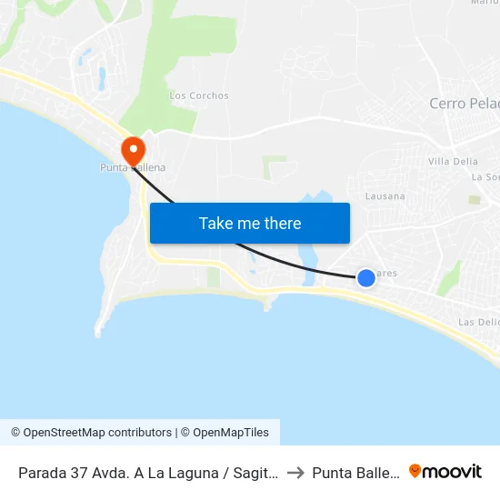 Parada 37 Avda. A La Laguna / Sagitario to Punta Ballena map