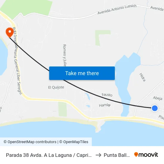Parada 38 Avda. A La Laguna / Capricornio to Punta Ballena map
