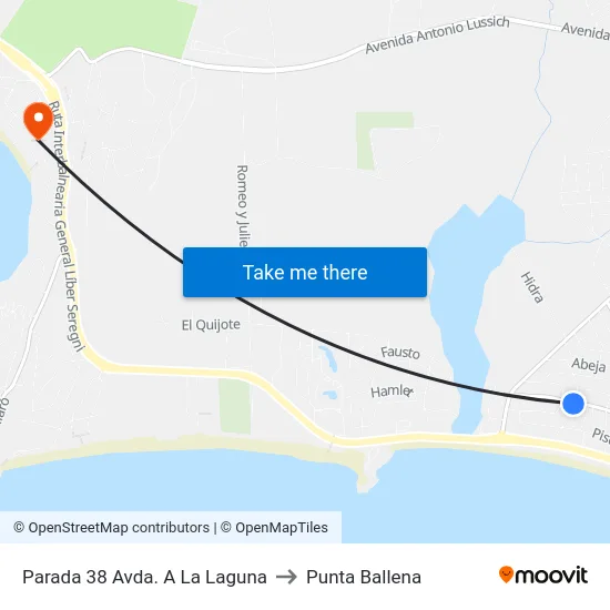 Parada 38 Avda. A La Laguna to Punta Ballena map