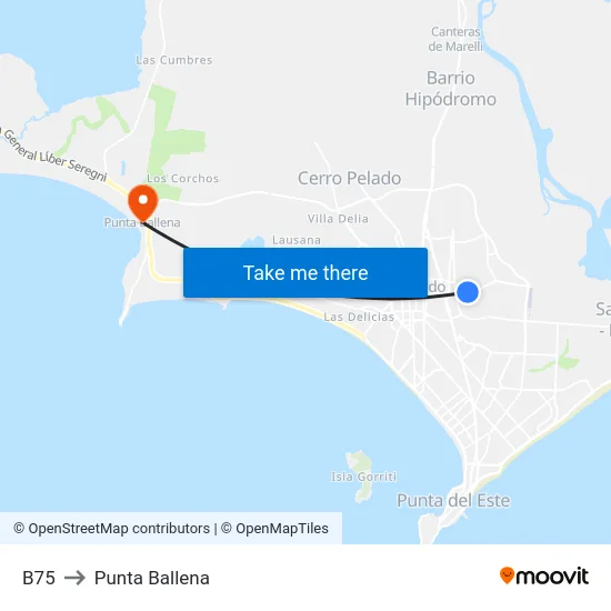 B75 to Punta Ballena map