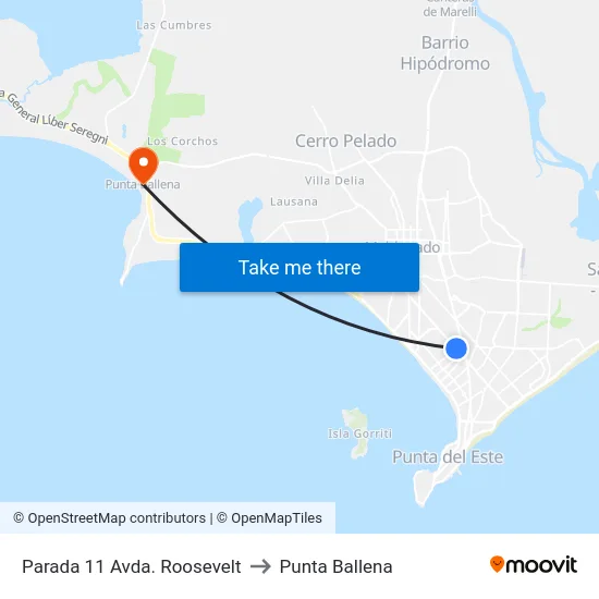 Parada 11 Avda. Roosevelt to Punta Ballena map