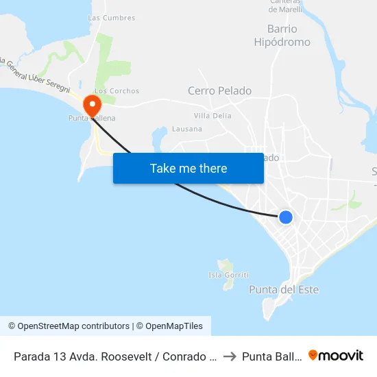 Parada 13 Avda. Roosevelt / Conrado Rontgen to Punta Ballena map