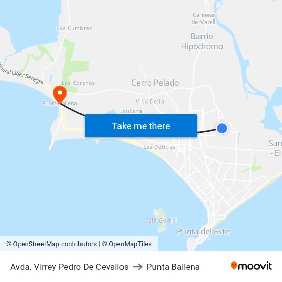 Avda. Virrey Pedro De Cevallos to Punta Ballena map