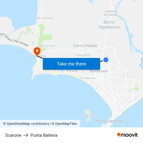 Scarone to Punta Ballena map