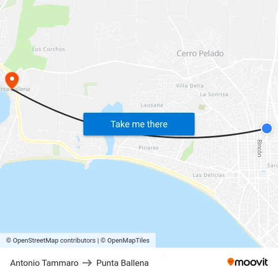 Antonio Tammaro to Punta Ballena map