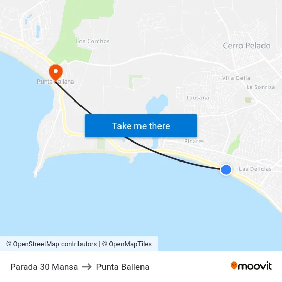 Parada 30 Mansa to Punta Ballena map