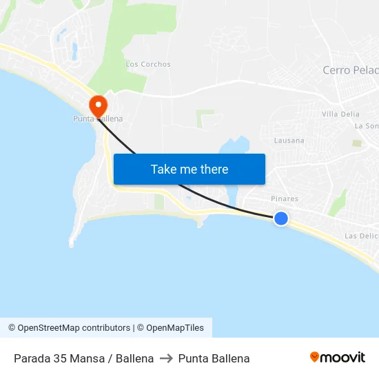 Parada 35 Mansa / Ballena to Punta Ballena map