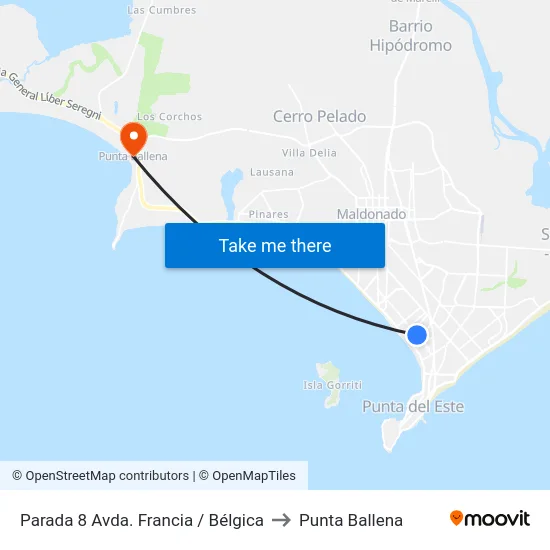 Parada 8 Avda. Francia / Bélgica to Punta Ballena map
