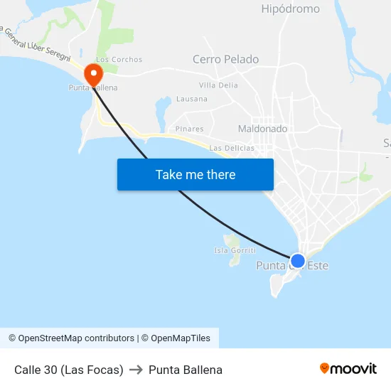 Calle 30 (Las Focas) to Punta Ballena map