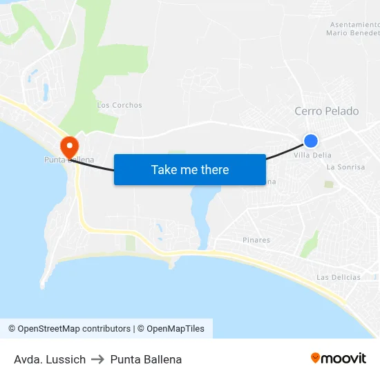 Avda. Lussich to Punta Ballena map