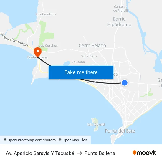 Av. Aparicio Saravia Y Tacuabé to Punta Ballena map