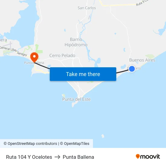 Ruta 104 Y Ocelotes to Punta Ballena map