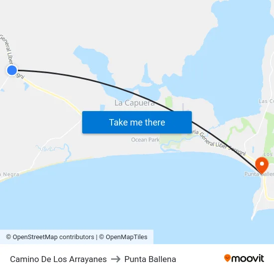 Camino De Los Arrayanes to Punta Ballena map