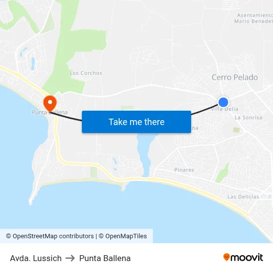 Avda. Lussich to Punta Ballena map