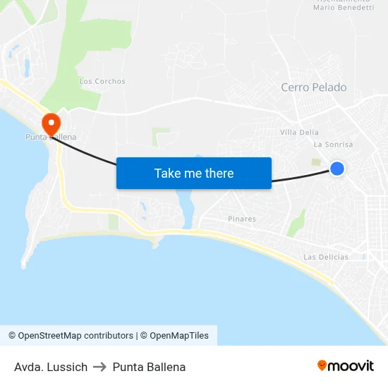 Avda. Lussich to Punta Ballena map