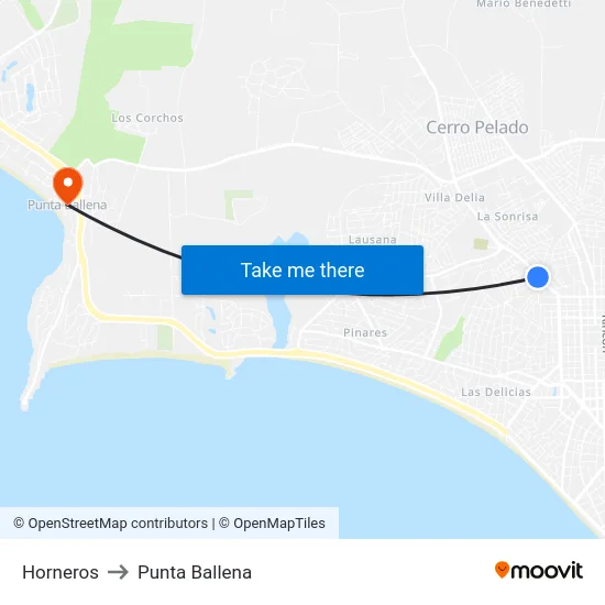 Horneros to Punta Ballena map