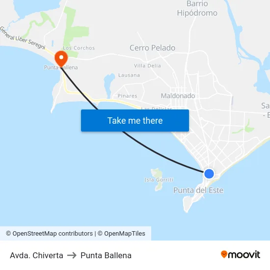 Avda. Chiverta to Punta Ballena map