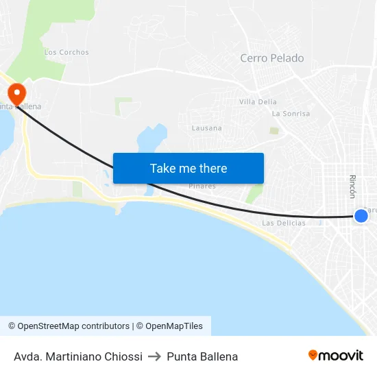 Avda. Martiniano Chiossi to Punta Ballena map