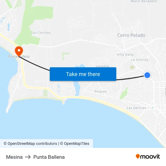 Mesina to Punta Ballena map