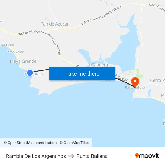 Rambla De Los Argentinos to Punta Ballena map