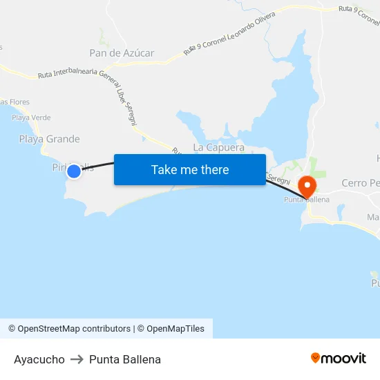 Ayacucho to Punta Ballena map